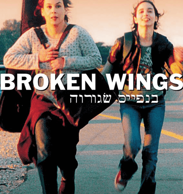 BROKEN WINGS